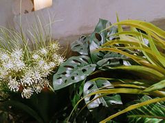 -施奈儿.洗头頭療.按摩SPA.采耳(上梅林店)