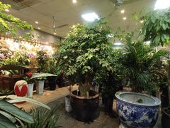 -双季花艺园艺市场(浦东店)