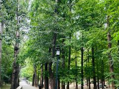 -白水寺森林公园