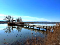 -野鸭湖国家湿地公园