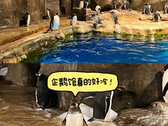 -香港海洋公园