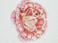 -八哥美术·成人美术画室(总校区)