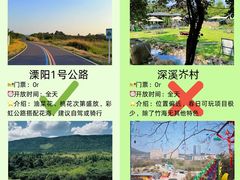 -紫藤园·天目湖大鱼头(南山竹海店)