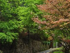 -九曜山