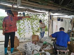 -马陆小张葡萄园农家乐