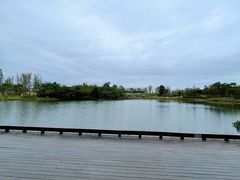 -三圣花乡旅游区