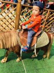 -萌宠亲子动物乐园(槐房万达店)