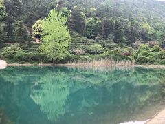 -九龙潭景区