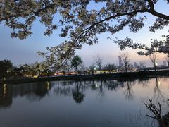 -玄武湖景区-情侣园游乐场