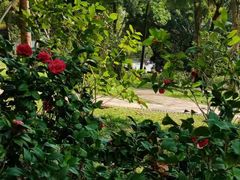 -深圳国际园林花卉博览园