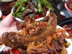 -欧记大排档·景德菜(上海首店)