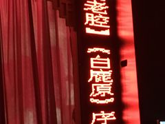 -陕西戏曲非遗博物馆
