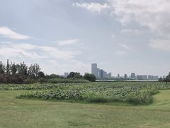 -苏州金鸡湖大酒店