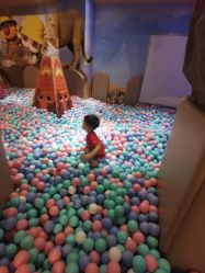 -卡通尼·Safari非洲探索乐园·生日会(金桥国际商业广场店)