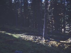 -硗碛藏寨·神木垒景区