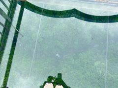 -蝶舞清江·恩施地心谷景区