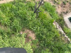 -磬锤峰森林公园
