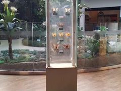 -陕西自然博物馆