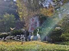 -广州白江湖森林公园