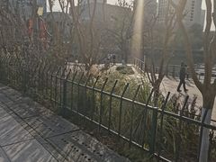 -西湖文化广场