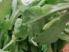 茼蒿菜-丁记火锅·酸汤牛肉