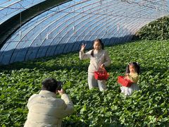 -大自然农场蔬菜草莓采摘园