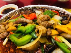 -天天海鲜城·海鲜大排档(新溪店)