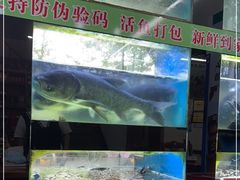 -全乐鱼馆·淳牌有机鱼直营店