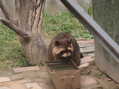 -青藏高原野生动物园