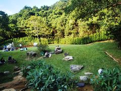 -阳台山森林公园