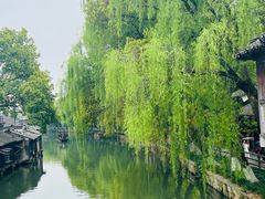 -乌镇景区