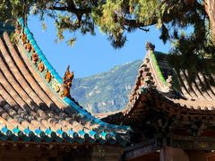 -窦大夫祠