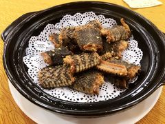 -寻味顺德·南记酒家·传统顺德菜·鱼生(广源路店)