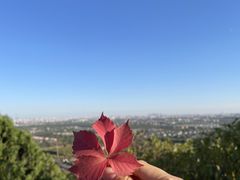 -北京西山国家森林公园