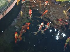-侠成水上农庄(工业大道店)