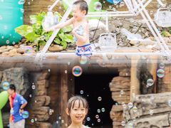 -重庆海昌加勒比海水世界