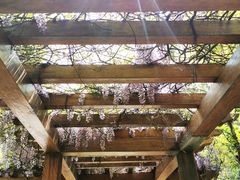 -徐家汇源景区-衡山公园