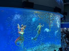 -合肥海洋世界