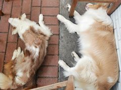 -豆舞咖啡(民乐路店)