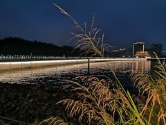 -野狸岛