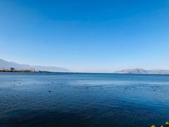 -大理洱海