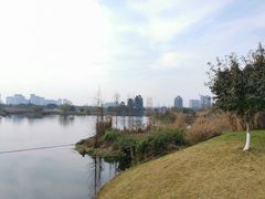 -眉山湿地公园(东坡区)