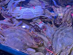-渔民船说·北塘海鲜·天津菜·海肠捞饭(北塘古镇店)