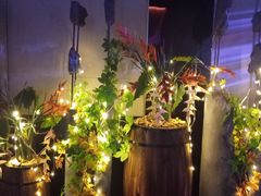 -蝴蝶汇音乐酒馆(罗湖店)