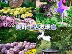 -汇龙潭