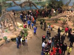 -自贡恐龙博物馆