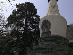 -大觉寺-停车场