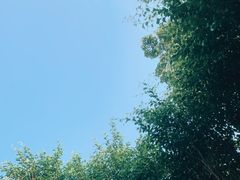 -凤翔首邑温泉度假村