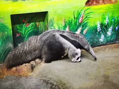 -常州淹城野生动物世界