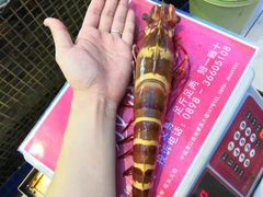 -欢乐海岸美食联盟